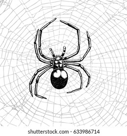 Realistic Spider Webs Images, Stock Photos & Vectors | Shutterstock