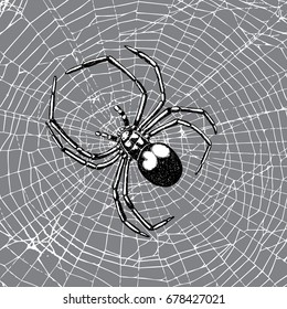 Hand drawn spider on the web. Realistic insect. Vintage stippling and hatching style. Engraved doodle line graphic design for Halloween. Black and white. Vector.