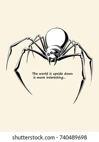 Hand drawn spider sketch, vector illustration