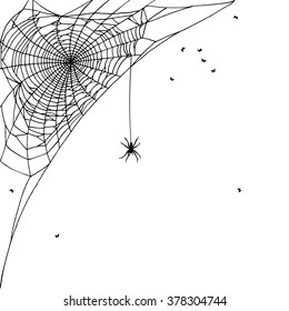 Hand drawn spider web