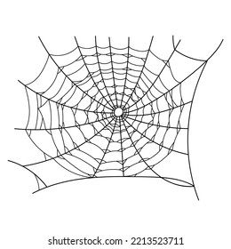 Hand drawn spider web illustration