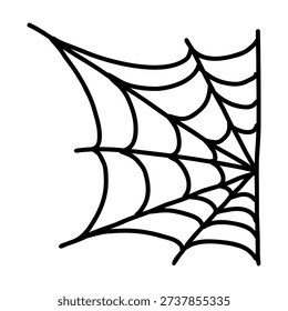 Hand Drawn Spider Web on White Background