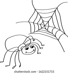 hand drawn spider with web. Sketch vector illustration