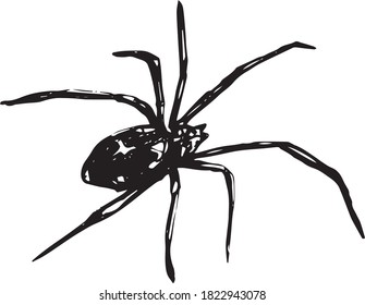 Hand drawn spiders. Halloween decoration set. . Vector illustration