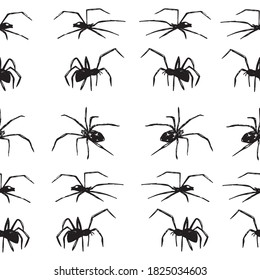 Hand drawn spiders pattern. Halloween decoration set. . Vector illustration