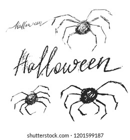 Hand drawn spiders set with lettering Halloween on white background. Different styles. Vector illustrations.
