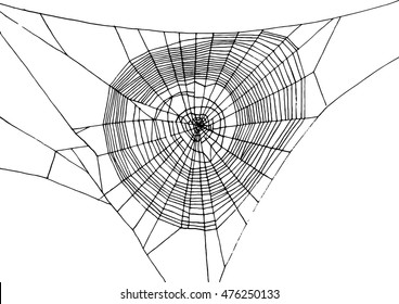 hand drawn spiderweb, black silhouette of web