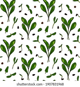 Hand drawn spinach micro greens seamless pattern. Vector illustration in colored sketch style isolated on white background