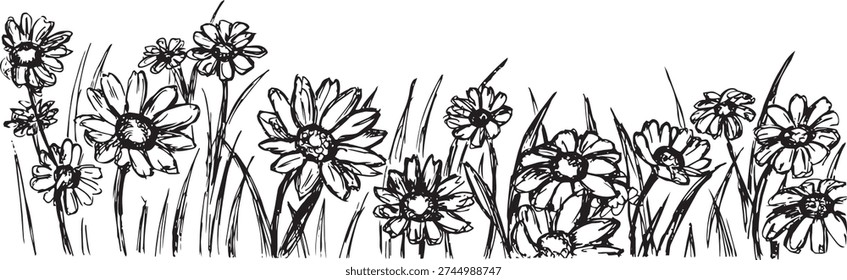 Hand drawn sping flower meadow frame illustration. Daisy blossons, isolated vector illustration.