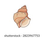 Hand drawn spiral sea shell illustration isolated on white background vector