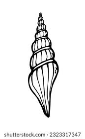 Hand drawn spiral sea shell black ink line art element on white background. Black and white outline cockle shel vector illustration.