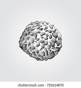 Hand Drawn Sponge Sketch Symbol isolated on white background. Vector Bathroom accessories In Trendy Style