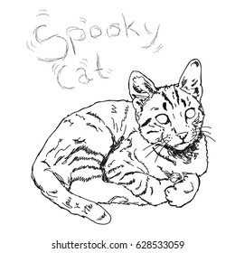 hand drawn spooky cat halloween doodle
