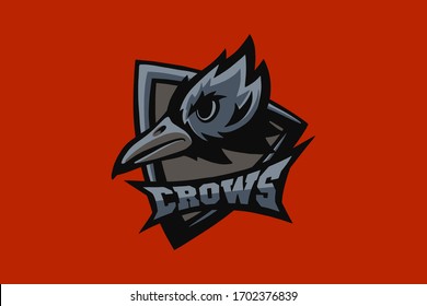 Hand drawn sport team mascot logo design. T-shirt print illustration. Crow.