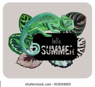 Hand drawn spotted green chameleon with a beautiful begonia leaf. Trendy slogan hello summer on a black background