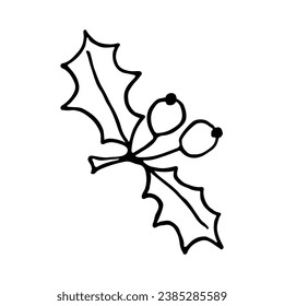 Hand Drawn Sprig of Holly on White Background. Christmas Halle Berry.