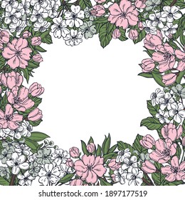 Flores de arándano y manzana dibujadas a mano с primavera. Fondo vectorial. Dibujo ilustrativo.