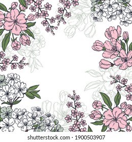 Hand drawn spring сherry and apple flowers. Vector background. Sketch  illustration.