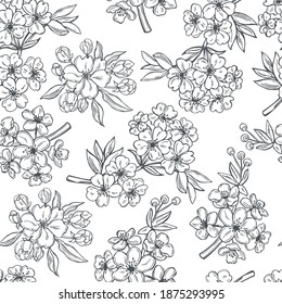 Hand drawn spring branches with flowers on white background.   Vector  seamless pattern.