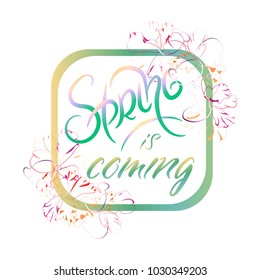 hand drawn spring is coming sign in frame, typography lettering poster with flowers, tender decor, vector.