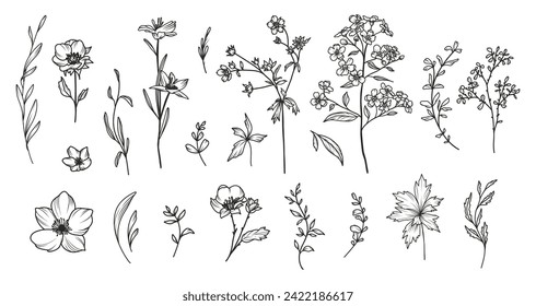 Hand drawn spring floral botanical line art. Trendy minimal elements of wild plants, flowers, herbs, branches and leaves. Vector illustration of logo or tattoo, save the date card invitation