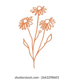 hand drawn of spring flower