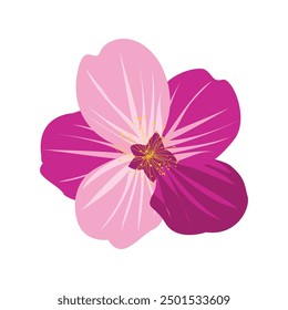 Hand drawn Spring flower illustration on white background