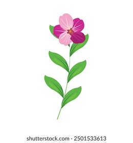 Hand drawn Spring flower illustration on white background