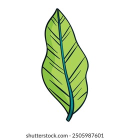 Hand drawn spring flower isolated illustration.