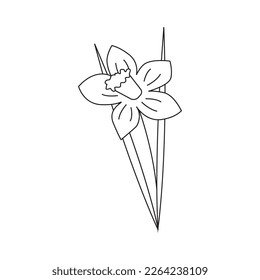 Hand drawn spring flower with leaves. Isolated on white background