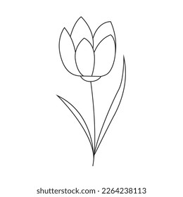 Handgezeichnete Frühlingsblume mit Blättern. Einzeln auf weißem Hintergrund