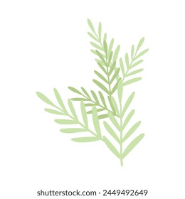 Hand drawn spring flower on white background