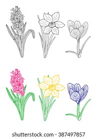 Hand drawn spring flowers
