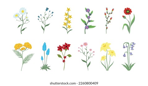 Hand drawn spring flowers collection