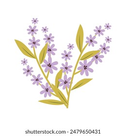 Hand drawn spring flowers, Colorful spring flower on white.