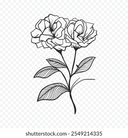 Dibujado a mano ilustración de flores de primavera. ilustración floral
