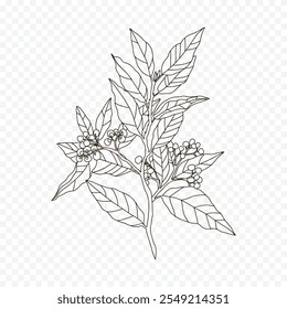 Hand drawn spring flowers illustration. floral illustration