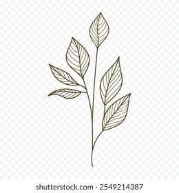 Hand drawn spring flowers illustration. floral illustration