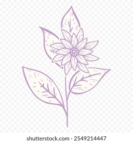 ilustração de flores de primavera desenhadas à mão. ilustração floral