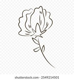 Dibujado a mano ilustración de flores de primavera. ilustración floral