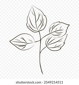 Hand drawn spring flowers illustration. floral illustration