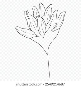 Hand drawn spring flowers illustration. floral illustration