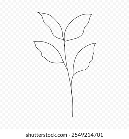Hand drawn spring flowers illustration. floral illustration