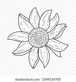 Hand drawn spring flowers illustration. floral illustration