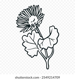 Hand drawn spring flowers illustration. floral illustration