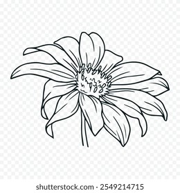 Hand drawn spring flowers illustration. floral illustration