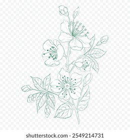 Hand drawn spring flowers illustration. floral illustration
