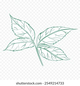 Hand drawn spring flowers illustration. floral illustration