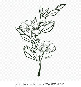 Hand drawn spring flowers illustration. floral illustration