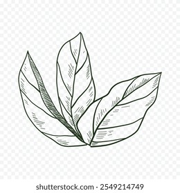 ilustração de flores de primavera desenhadas à mão. ilustração floral